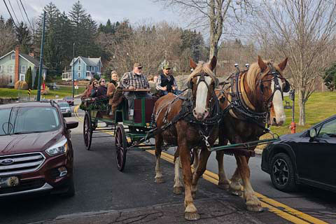 horse carriage ride