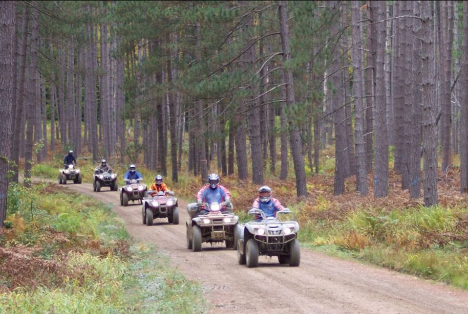 A group of ATV riders thru woods