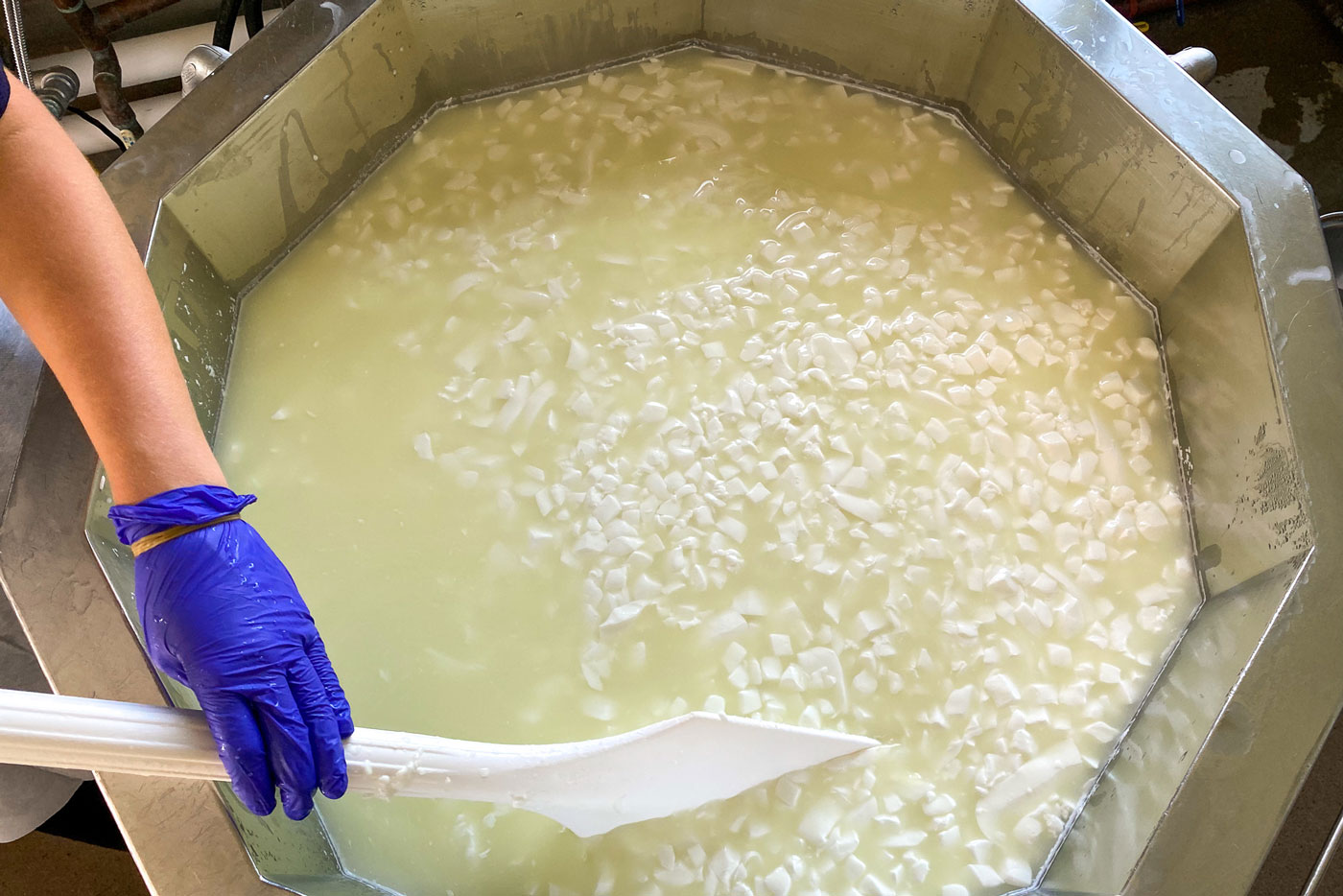a person mixing curdle cheese