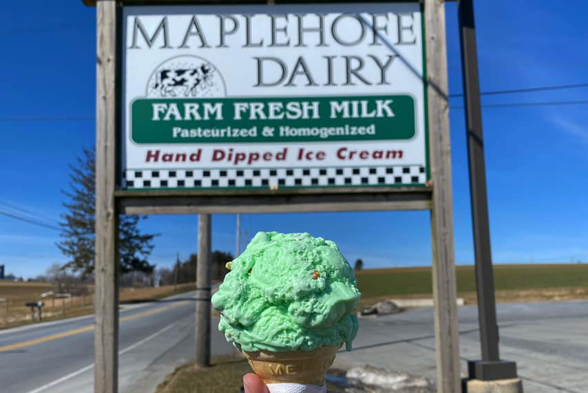 Holding Mint ice cream served in a cone in front of signage board saying Maplehofe Dairy