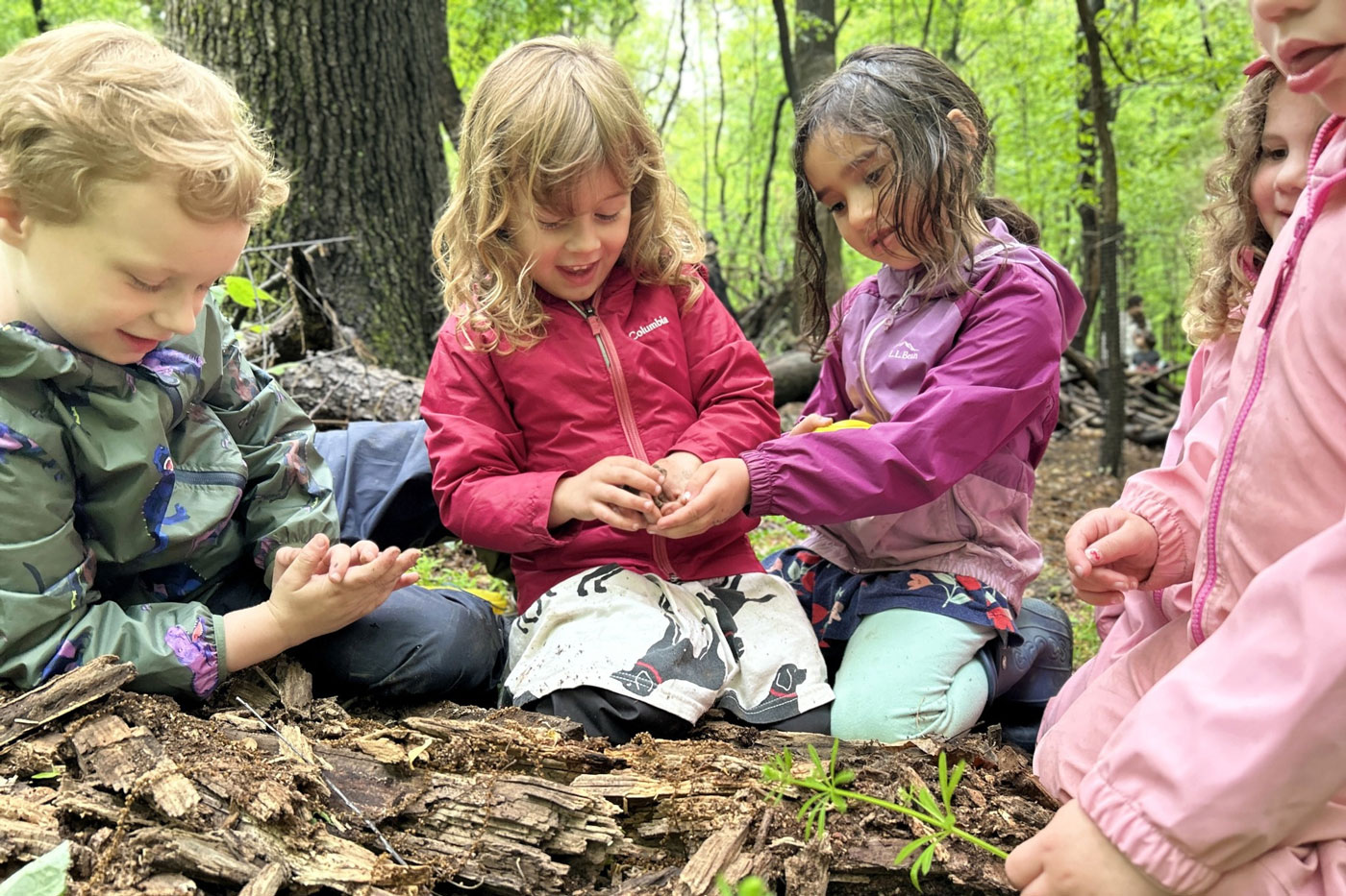 group of kids sitting on ground exploring foliage at Schuylkill Center for environmental education